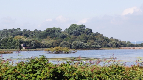 Brownsea Island Dorset Wildlife Trust